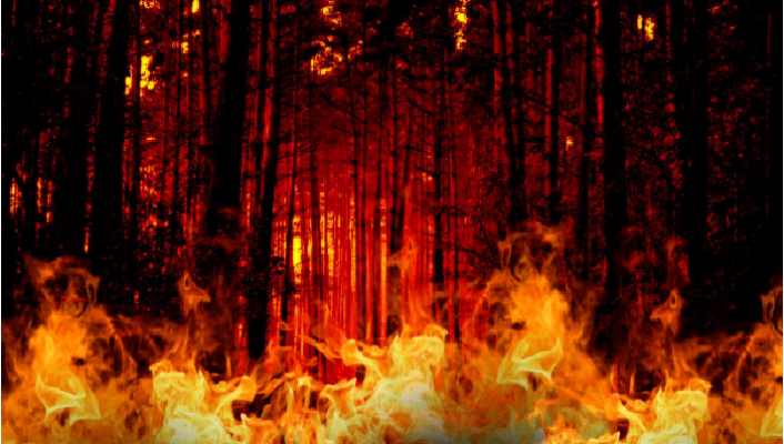 Kebakaran hutan dan lahan menjadi bencana yang diantisipasi BNPB saat kemarau panjang yang berpotensi terjadi di tahun 2023. (terasjakarta.id/ist)