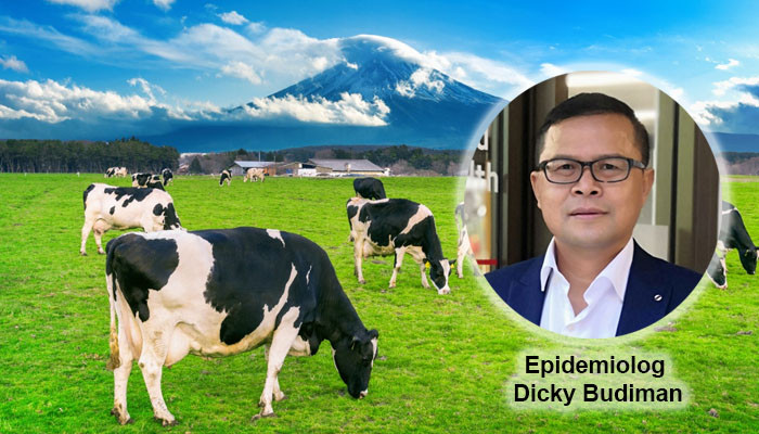 Penyakit sapi gila atau Mad Cow Disease ditemukan di sebuah peternakan Belanda. (dok)