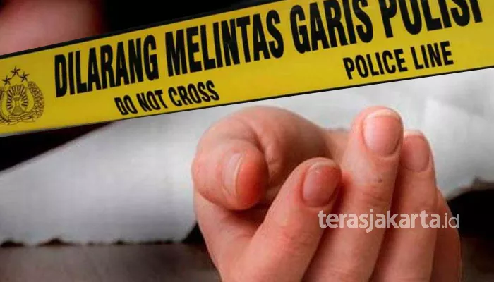 Lansia ibu dan anak di Cilandak, Jakarta Selatan yang meninggal dalam rumah diduga karena sakit. (ilustrasi: terasjakarta)