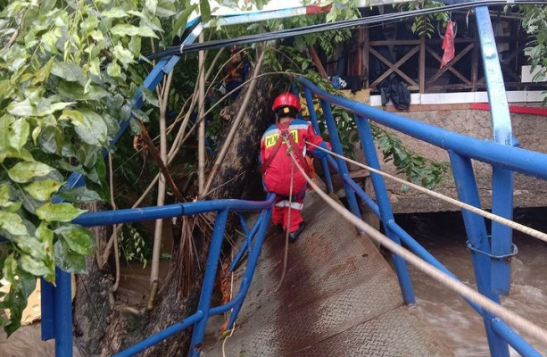 Pohon tumbang menimpa jembatan di Kecamatan Makassar, Jakarta Timur hingga mengalami kerusakan. (terasjakarta/ist)