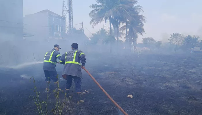 Petugas Pemadam Kebakaran memadamkan api di kebakaran lahan Kampung Nangrak, Desa Sukadami, Cikarang Selatan, Kabupaten Bekasi. (foto: ist)