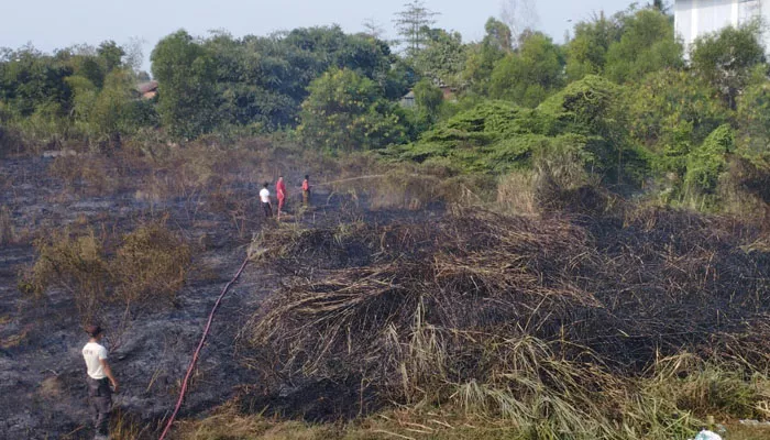 Kebakaran lahan di Kampung Nangrak, Desa Sukadami, Cikarang Selatan, Kabupaten Bekasi. (foto: ist)