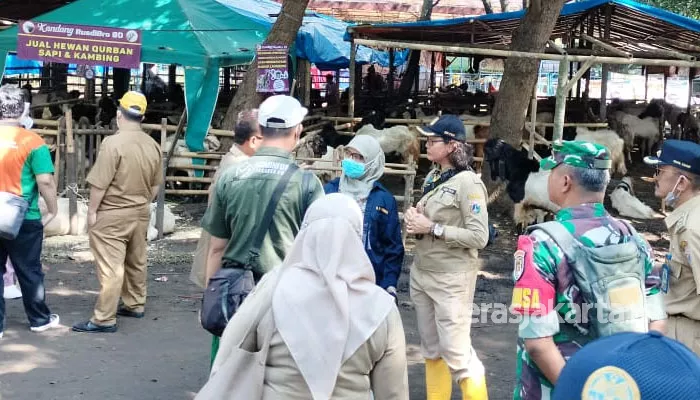 Pedagang hewan kurban di Kemayoran, Jakarta Pusat keluhkan mahalnya biaya sewa lapak. (foto: terasjakarta)