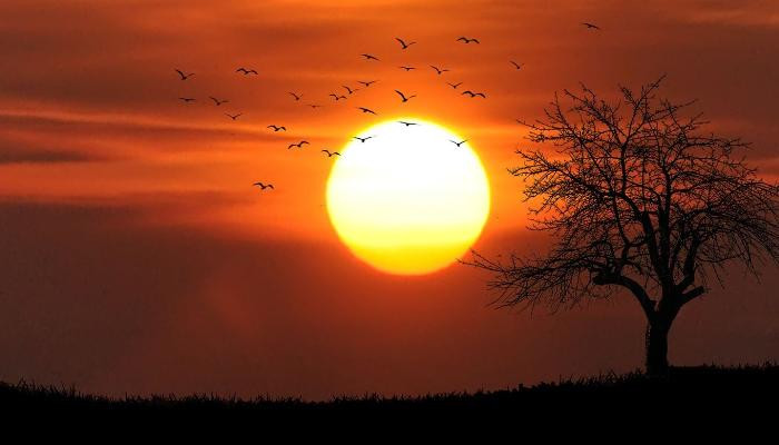 NASA mengungkap fakta akan adanya fenomena matahari erbit dari barat yang banyak orang mempercayai hal itu menjadi pertanda kiamat.(terasjakarta.id/pixabay)